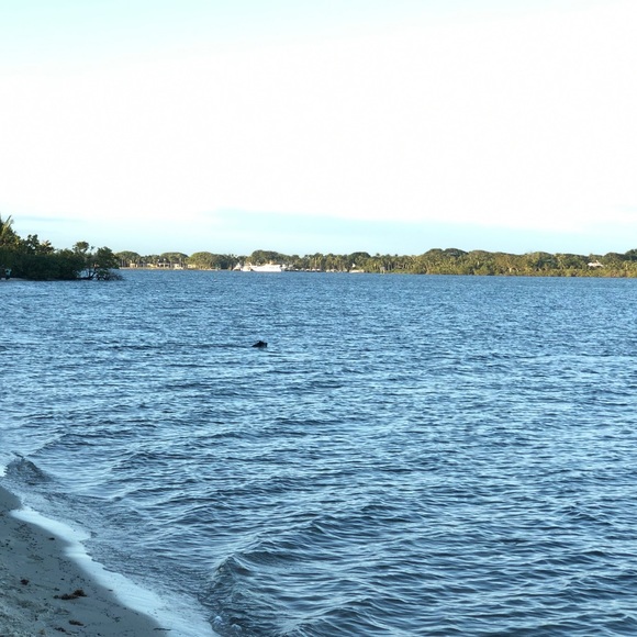 Meet your Posher, Cristina - Picture 1 of 1